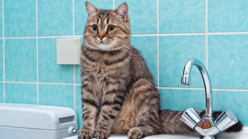 Три микрорайона Одессы останутся без воды: в чем причина