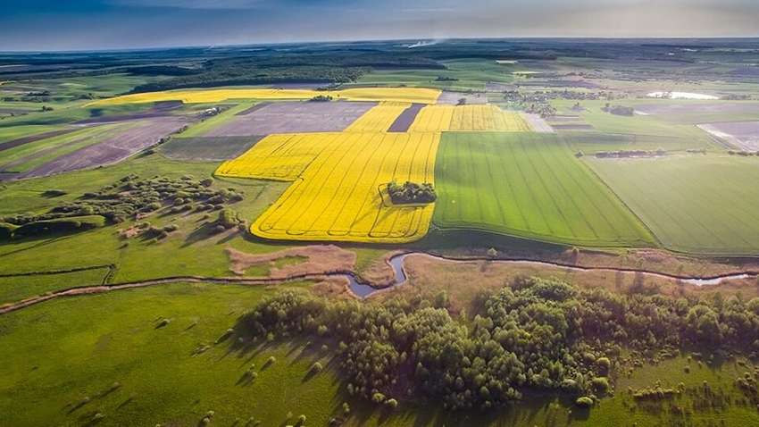 Инвестиции в земельную отрасль: эффективность нового закона Инвестиции в земельную отрасль: эффективность нового закона