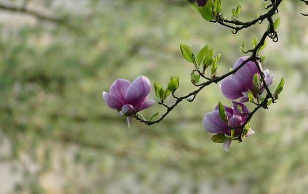 Приметы 26 апреля: что можно и нельзя делать сегодня