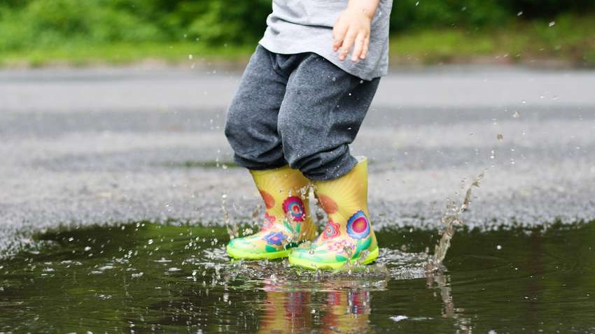 Погода 1 июля: в каких областях Украины сегодня пройдут дожди