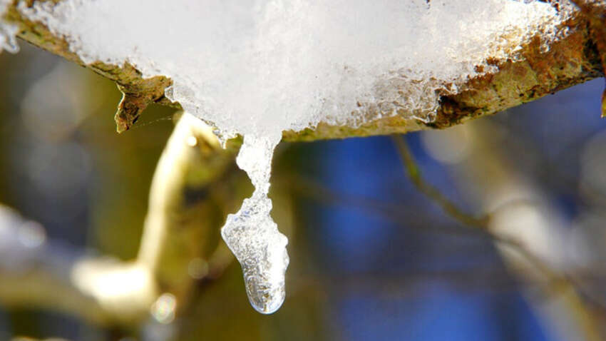 Церковне свято 14 січня: яке існує повір'я Церковне свято 14 січня: яке існує повір'я