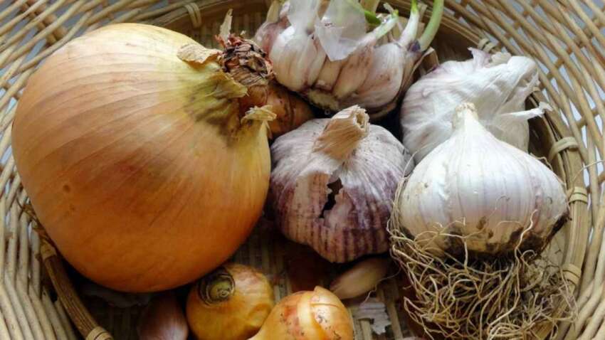 Как правильно хранить лук и чеснок: будут свежими до лета 
