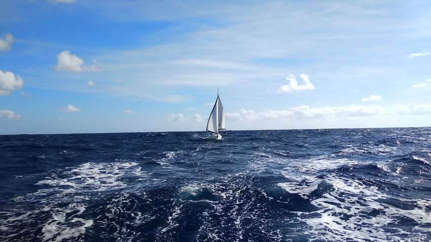 Отказал мотор: в Таиланде турист «завис» в открытом море на 3 суток