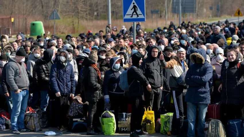 Большие очереди на границе с Польшей: пограничники объяснили причину наплыва людей в Украину Большие очереди на границе с Польшей: пограничники объяснили причину наплыва людей в Украину