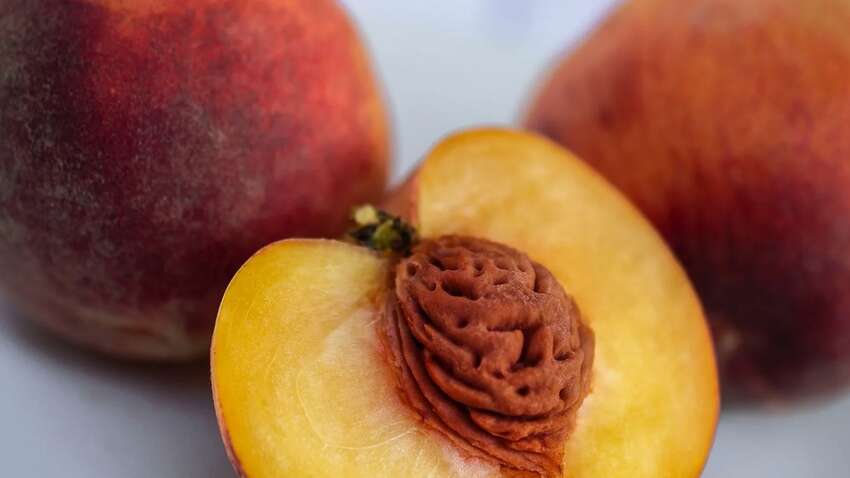 Настоящая находка: названы неожиданные свойства персиков, о которых никто не знал  Настоящая находка: названы неожиданные свойства персиков, о которых никто не знал