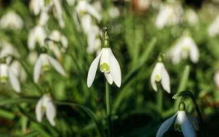Приметы 18 марта: что можно и нельзя делать сегодня Приметы 18 марта: что можно и нельзя делать сегодня
