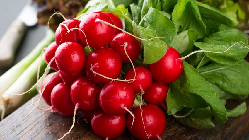 Солодка та міцна редиска – не проблема: експерти дали 10 порад Солодка та міцна редиска – не проблема: експерти дали 10 порад