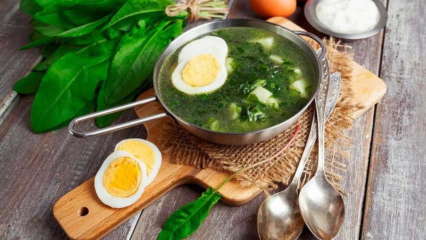 Какой суп должен быть в меню каждой семьи