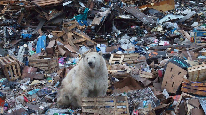 В ближайшем будущем планета будет становиться грязнее: названа причина 