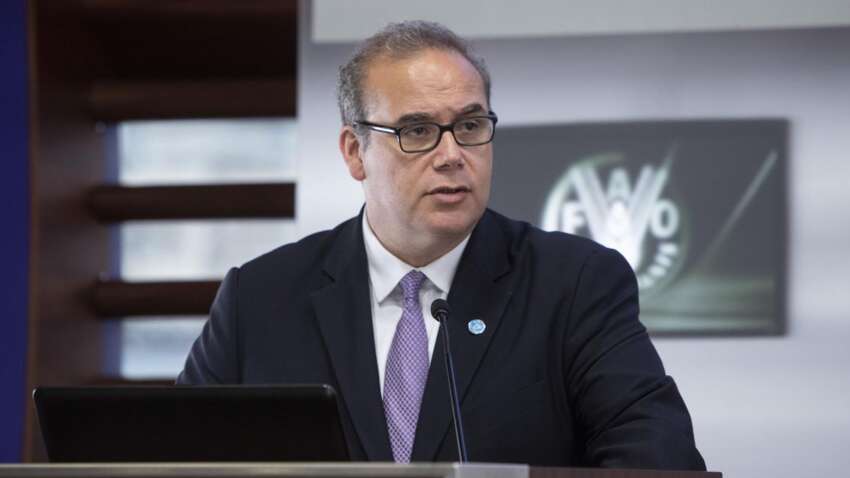 Глобальная катастрофа нависла над миром: в ООН сделали срочное заявление Глобальная катастрофа нависла над миром: в ООН сделали срочное заявление