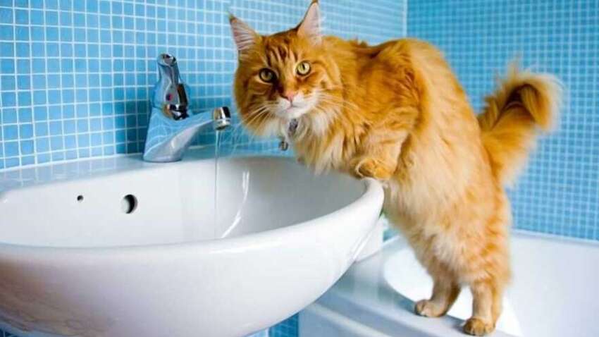 У Харкові воду подають по графіках: що відомо