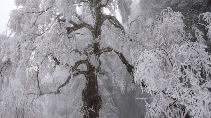 Церковный праздник 30 декабря: запомните две главные приметы дня на здоровье и достаток