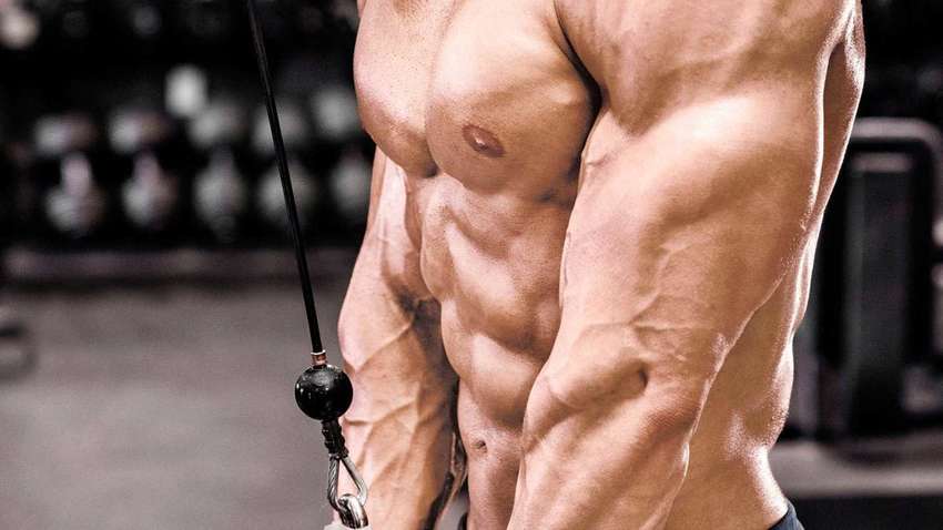 Не отжиманиями едиными: эффективные упражнения для рельефных рук