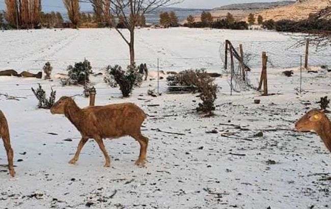 Аномалии: в Африке выпал снег, температура опустилась до минимума