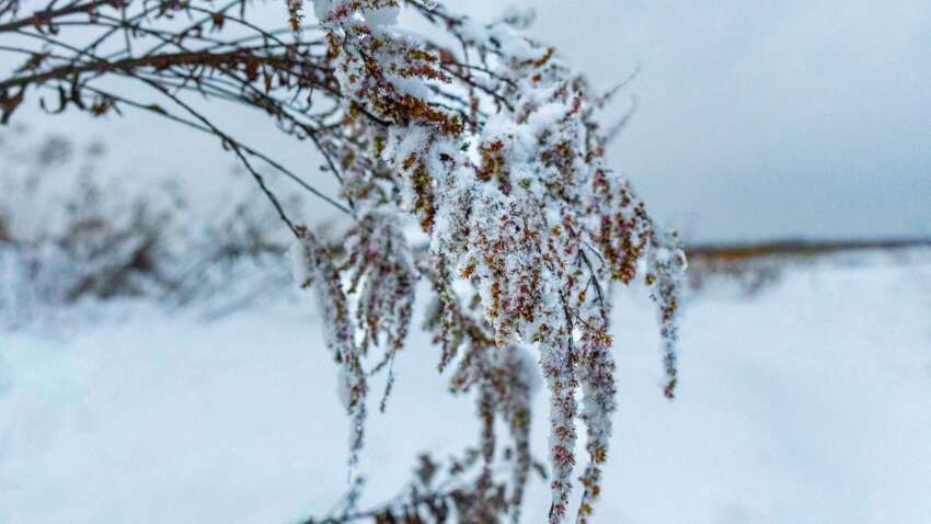 Яке церковне свято 16 грудня: які заборони дня в жодному разі не можна порушувати Яке церковне свято 16 грудня: які заборони дня в жодному разі не можна порушувати