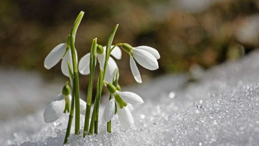 "Будь оно неладно": украинцев ошеломили перспективами погоды на 24 апреля