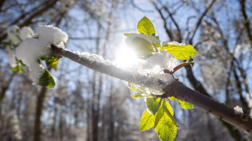 Это будет однозначно: украинцев шокировали заявлением об очередных изменениях в погоде 