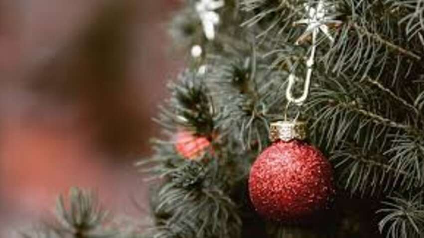 Що додати у воду, щоб ялинка втримала кожну голочку: стоятиме довше, ніж ви планували