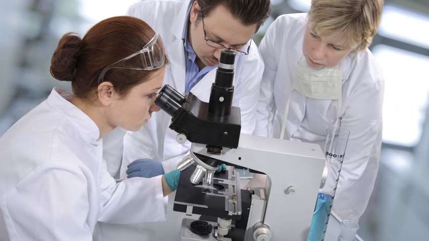 Інновації: у США будуть використовувати робота-змію для лікування інсультів 