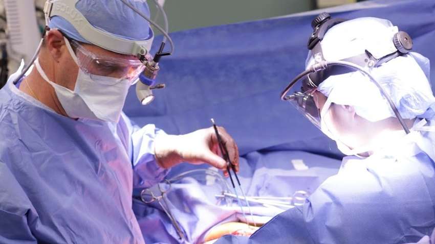 Канадські вчені створили універсальні донорські легені Канадські вчені створили універсальні донорські легені