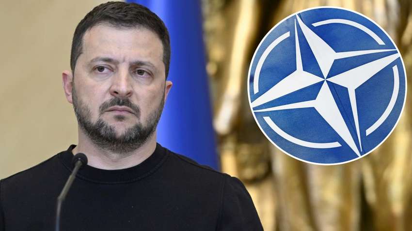 О чем говорят заявления Киева в преддверии саммита НАТО – каких шагов еще не хватает