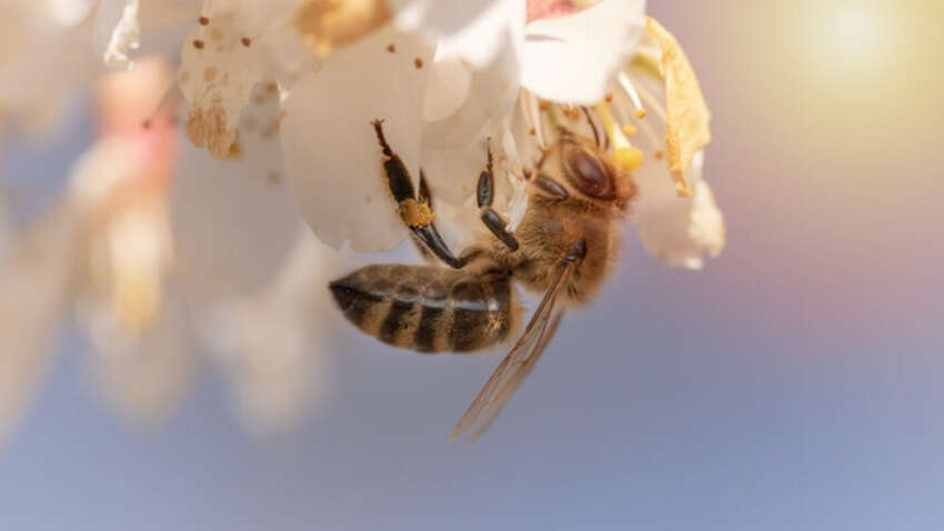 Церковне свято 28 квітня: особливий звичай цього дня