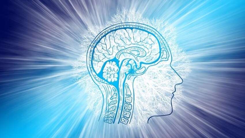 Ученые назвали ежедневную привычку, которая незаметно уменьшает мозг