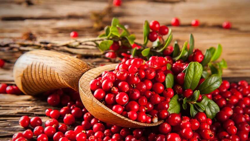 К чему приводит ежедневное употребление клюквы: об этом мало кто знает