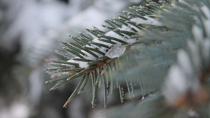 В Україні вдарять 18-градусні морози: погода на кінець січня В Україні вдарять 18-градусні морози: погода на кінець січня