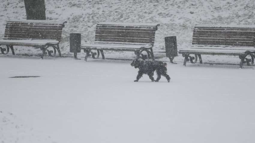 Когда в Украину придет похолодание: синоптик назвал даты 