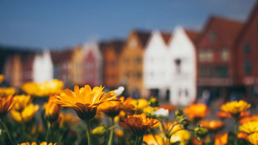 Будет ли адская жара: какой будет погода летом 2024 года