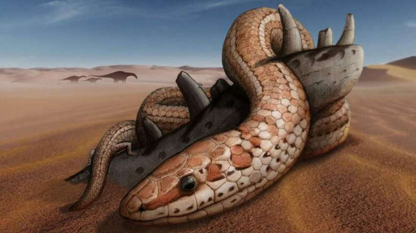 Находка ученых доказала, что у древних змей были конечности