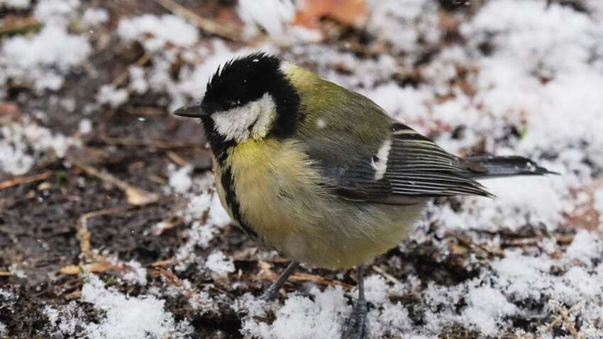 Церковне свято 25 квітня: суворі заборони цього дня