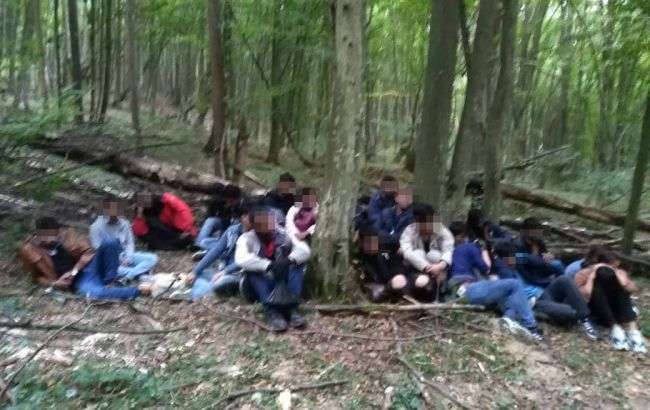 На границе со Словакией со стрельбой задержали десятки нелегалов