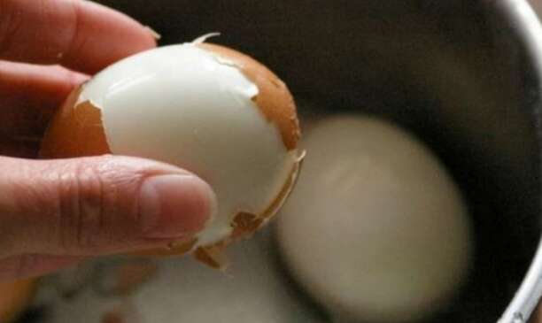 Как распознать испорченные яйца: важные советы, которые уберегут от отравления Как распознать испорченные яйца: важные советы, которые уберегут от отравления