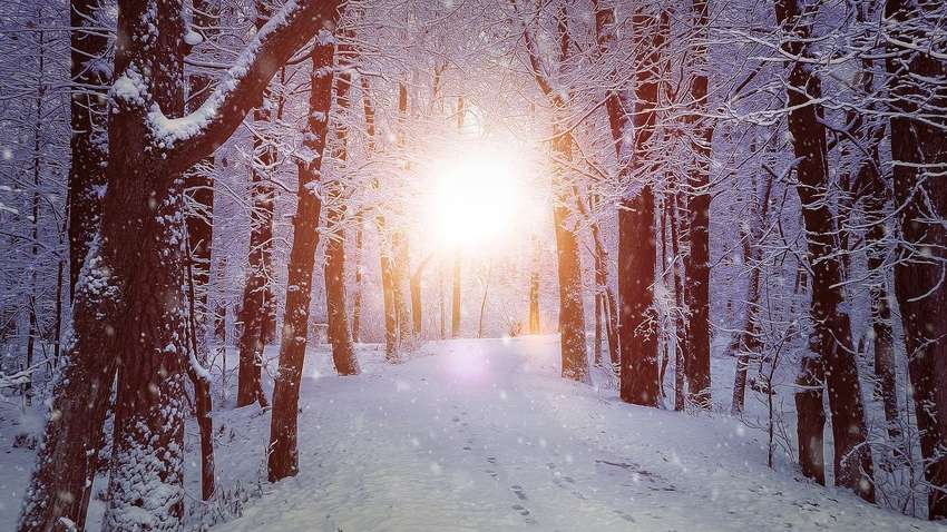 Морозы на западе и снегопады на востоке: какой будет погода в Украине