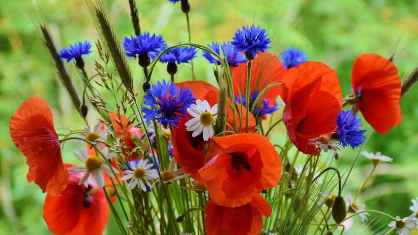 Що можна і не можна робити 22 травня: прикмети та заборони Що можна і не можна робити 22 травня: прикмети та заборони