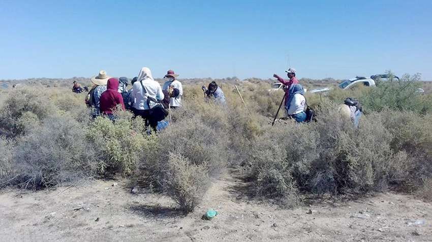 В Мексике у границы с США обнаружили останки людей