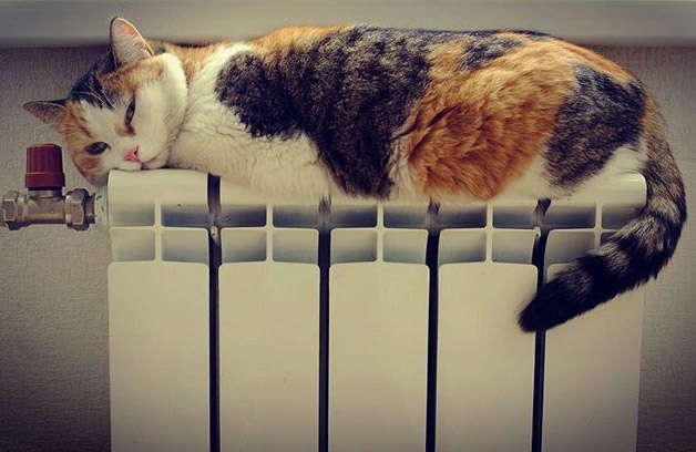 В КГГА сообщили, когда в Киеве начнется отопительный сезон 