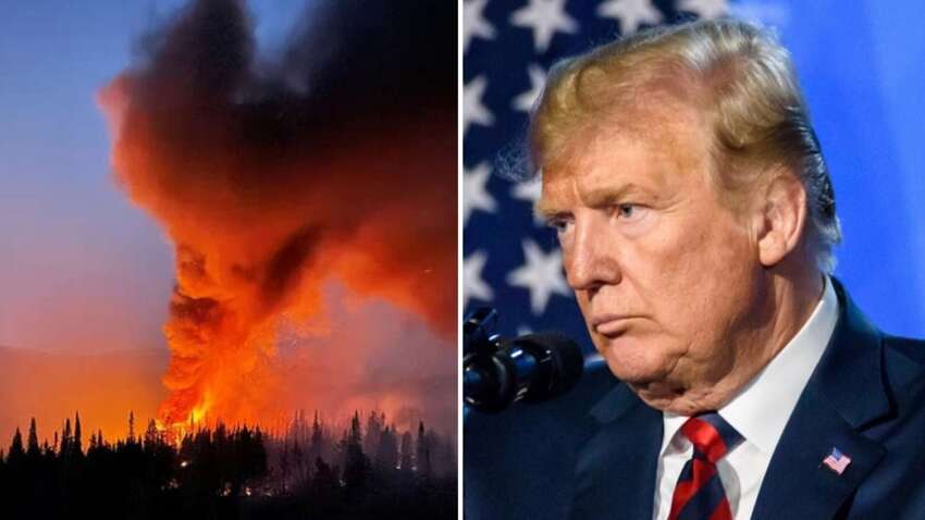 США можуть "зливати" розвідку РФ під прикриттям дозволу Трампа: шокуючі деталі