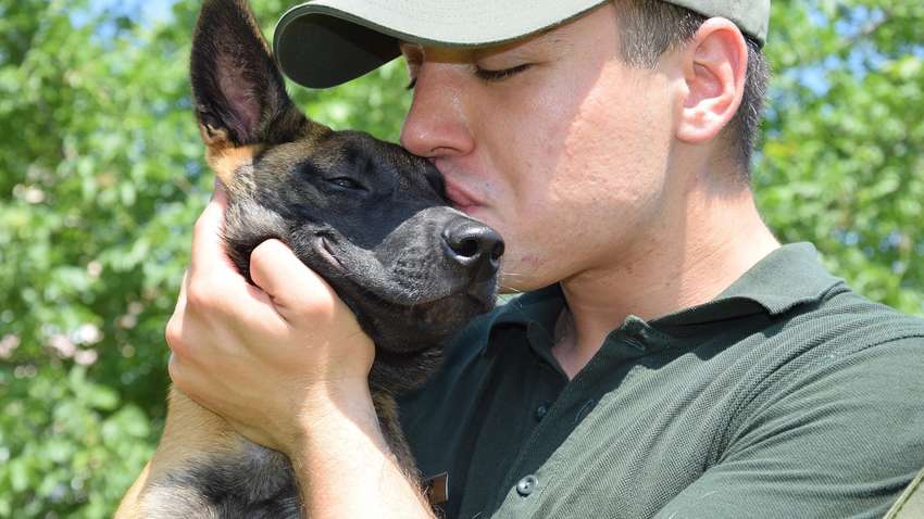 Госпогранслужба показала, как собаки помогают им в работе