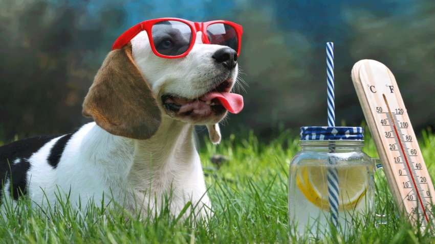 Якою буде погода на вихідних, 17-18 липня: прогноз синоптика