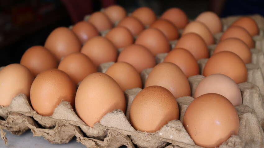 Сонник: до чого сняться яйця?