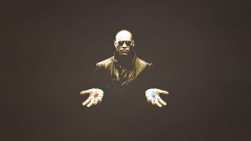 Илон Маск призвал принять "красную таблетку". Создательница "Матрицы" отреагировала негативно