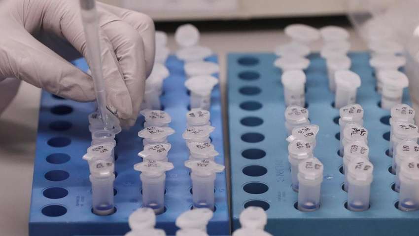 Более 75 тысяч смертей и 1,3 млн случаев: статистика коронавируса в мире