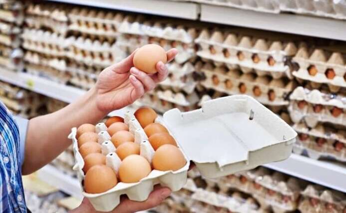 У Трампа закликали американців заводити курей-несучок на фоні яєчної кризи в США У Трампа закликали американців заводити курей-несучок на фоні яєчної кризи в США