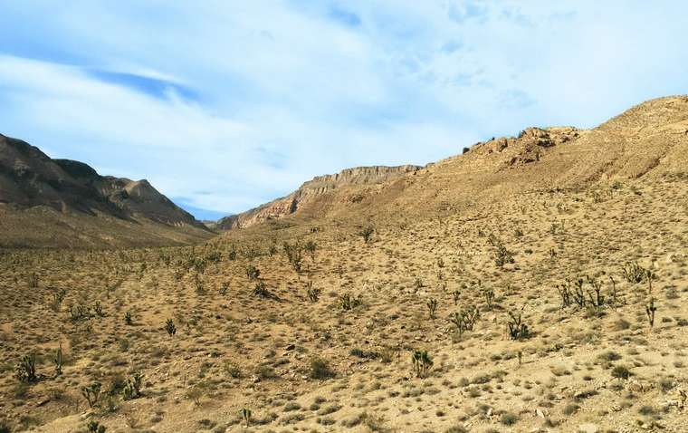 Нейтральні зони: п'ять місць на Землі, які нікому не належать