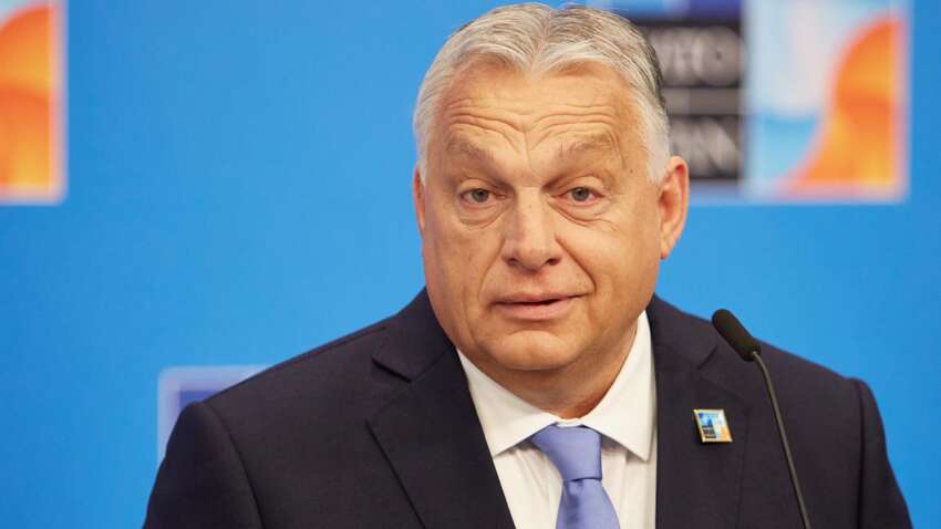 Орбан написал письмо Зеленскому: какое требование выдвинул Киеву