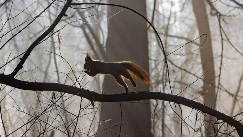 Понедельник без существенных осадков, но уже на Рождество доставайте шубы - прогноз синоптикини Понедельник без существенных осадков, но уже на Рождество доставайте шубы - прогноз синоптикини
