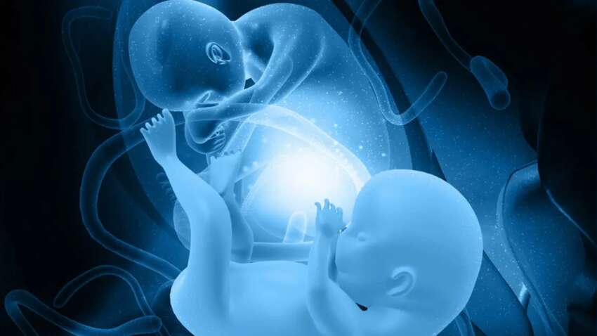 Самый редкий случай: женщина забеременела девятерней Самый редкий случай: женщина забеременела девятерней